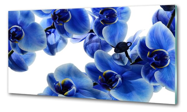 Panel do kuchyně Modrná orchidej pksh-108719239