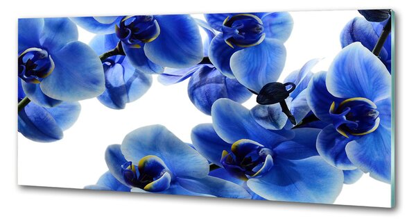 Panel do kuchyně Modrná orchidej pksh-108719239