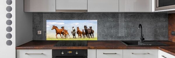 Panel do kuchyně Koně ve cvalu pksh-108737059