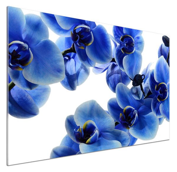 Panel do kuchyně Modrná orchidej pksh-108719239