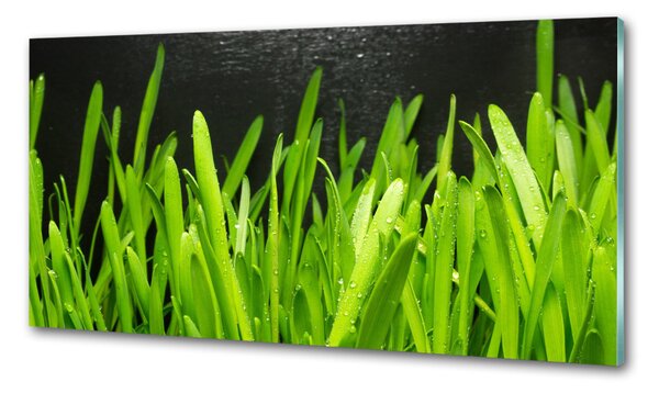 Skleněný panel do kuchyně Tráva pksh-108879645