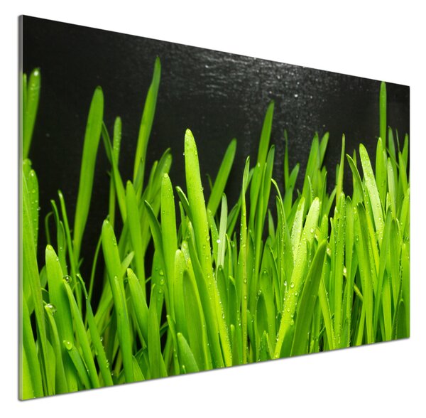 Skleněný panel do kuchyně Tráva pksh-108879645