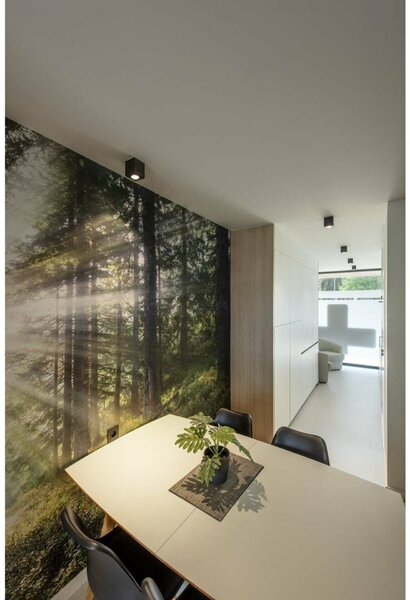 BIG WHITE SLV TRILEDO SQUARRE CL, stropní svítidlo, LED, 3000K, hranaté, černé matné, 38°, 6,2 W, vč. ovladače 113940