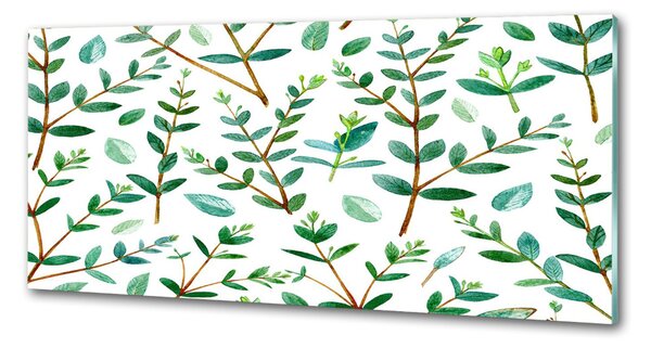 Dekorační panel sklo Eukalyptus pksh-109516914