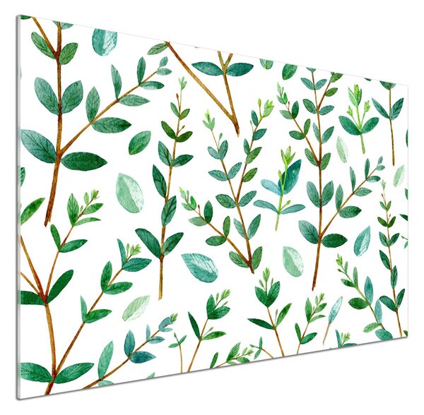 Dekorační panel sklo Eukalyptus pksh-109516914