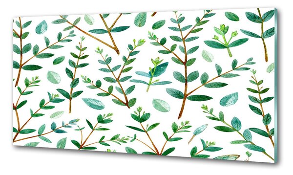 Dekorační panel sklo Eukalyptus pksh-109516914