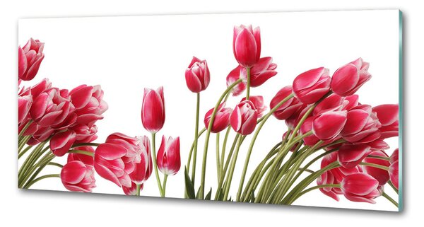 Panel do kuchyně Červené tulipány pksh-109710799