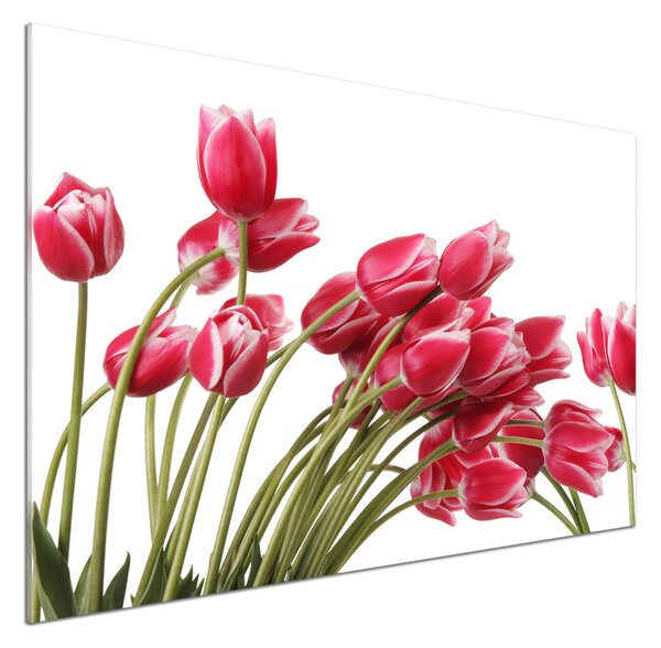 Panel do kuchyně Červené tulipány pksh-109710799