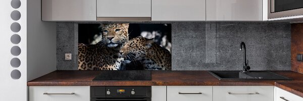 Dekorační panel sklo Dva levharti pksh-109930645