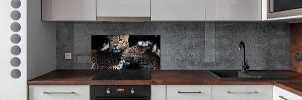Dekorační panel sklo Dva levharti pksh-109930645