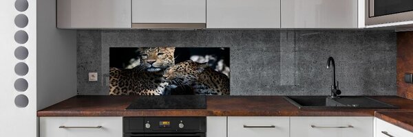 Dekorační panel sklo Dva levharti pksh-109930645