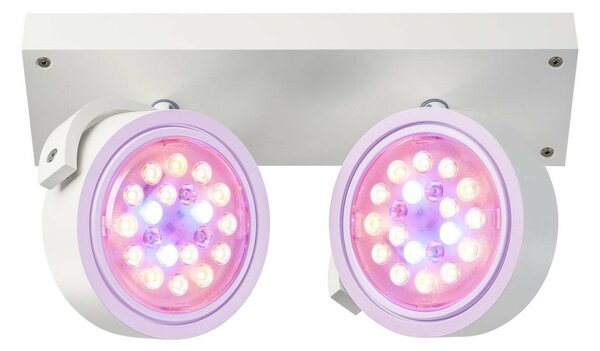 BIG WHITE SLV KALU, nástěnné a stropní svítidlo, dvě žárovky, QPAR111, kulaté, bílé matné, max. 150 W 147311