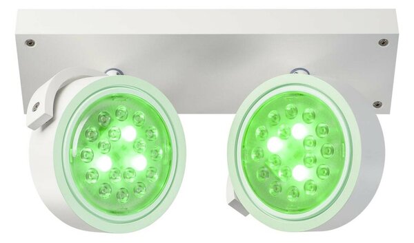 BIG WHITE SLV KALU, nástěnné a stropní svítidlo, dvě žárovky, QPAR111, kulaté, bílé matné, max. 150 W 147311