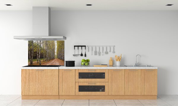 Dekorační panel sklo Alej bříz pksh-111097387