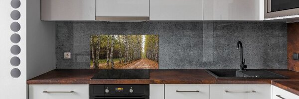 Dekorační panel sklo Alej bříz pksh-111097387
