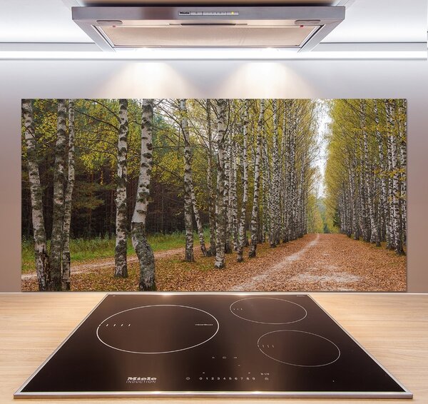 Dekorační panel sklo Alej bříz pksh-111097387