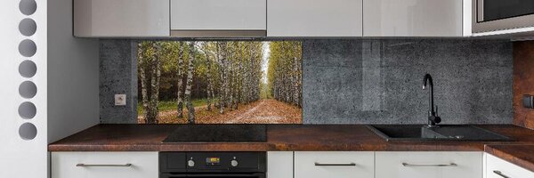 Dekorační panel sklo Alej bříz pksh-111097387