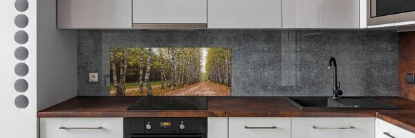 Dekorační panel sklo Alej bříz pksh-111097387