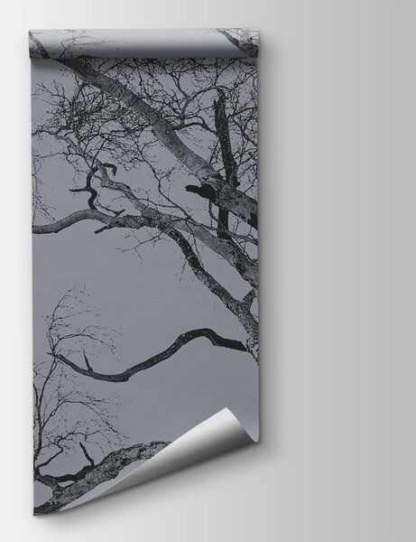 Fototapeta Strom s větvemi a měsícem v pozadí, Přírodní fototapety, Populární fototapety, u19208 - Tapeko.co.cz