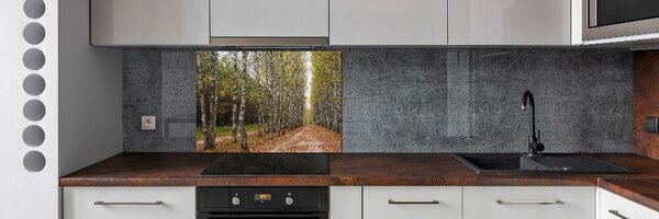 Dekorační panel sklo Alej bříz pksh-111097387