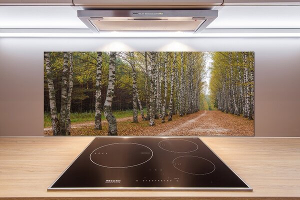Dekorační panel sklo Alej bříz pksh-111097387