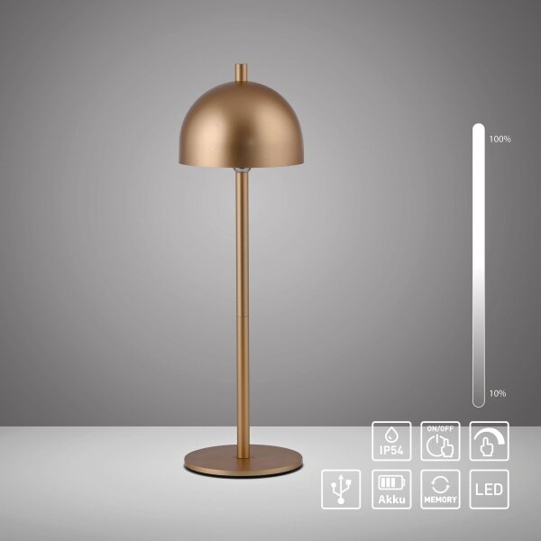 Schöner Wohnen 19244-12 - LED Stm. stolní lampa BELLIS LED/2,5W/5V IP54 zlatá