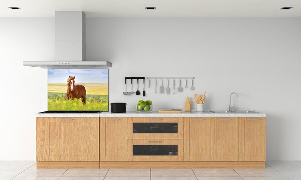 Dekorační panel sklo Hnědý kůň pksh-111439137