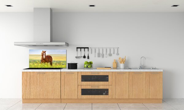 Dekorační panel sklo Hnědý kůň pksh-111439137