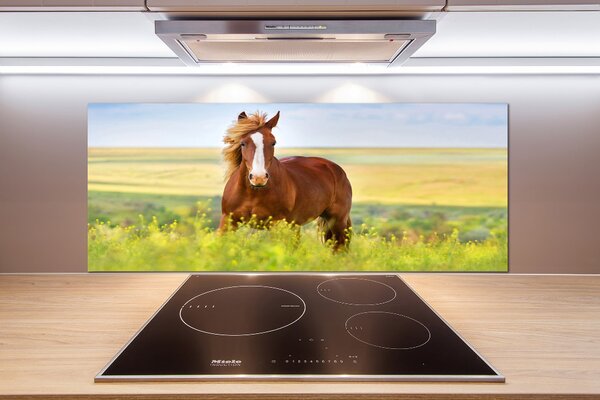 Dekorační panel sklo Hnědý kůň pksh-111439137