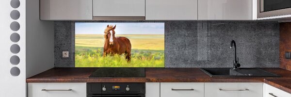 Dekorační panel sklo Hnědý kůň pksh-111439137