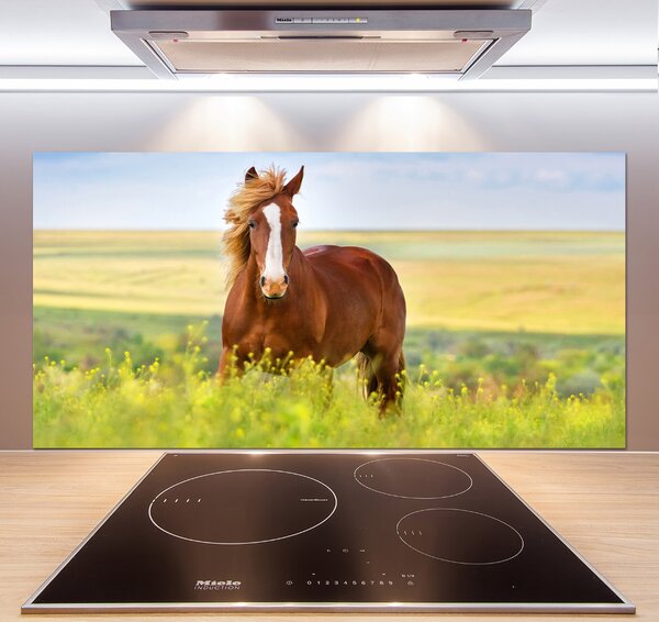 Dekorační panel sklo Hnědý kůň pksh-111439137
