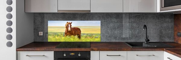 Dekorační panel sklo Hnědý kůň pksh-111439137