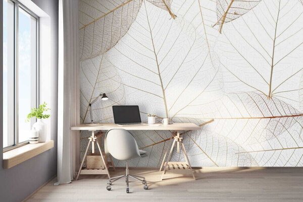 Fototapeta Skupina hnědých listů, Designové fototapety na zeď, Populární fototapety, u24439 - Tapeko.co.cz