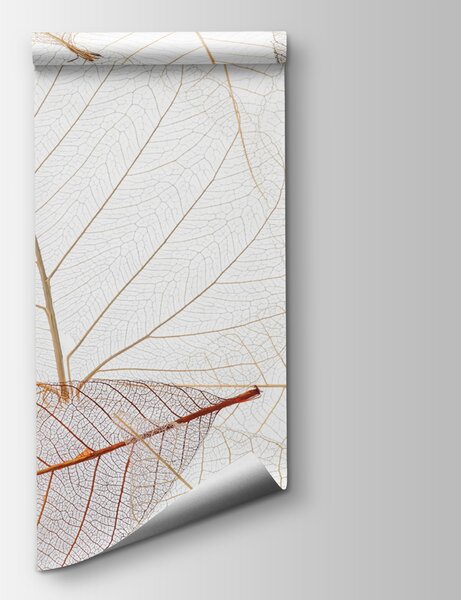 Fototapeta Skupina hnědých listů, Designové fototapety na zeď, Populární fototapety, u24439 - Tapeko.co.cz