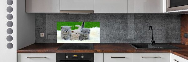 Panel do kuchyně Tři kočky na dece pksh-112670236