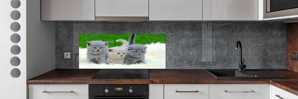 Panel do kuchyně Tři kočky na dece pksh-112670236