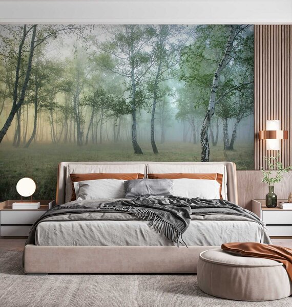 Fototapeta Mlžný les se stromy, Designové fototapety na zeď, Populární fototapety, u25820 - Tapeko.co.cz