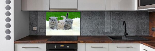 Panel do kuchyně Tři kočky na dece pksh-112670236