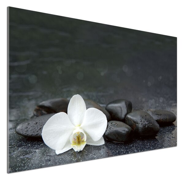 Skleněný panel do kuchynské linky Orchidej pksh-113617594