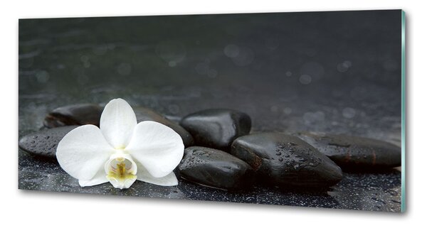 Skleněný panel do kuchynské linky Orchidej pksh-113617594