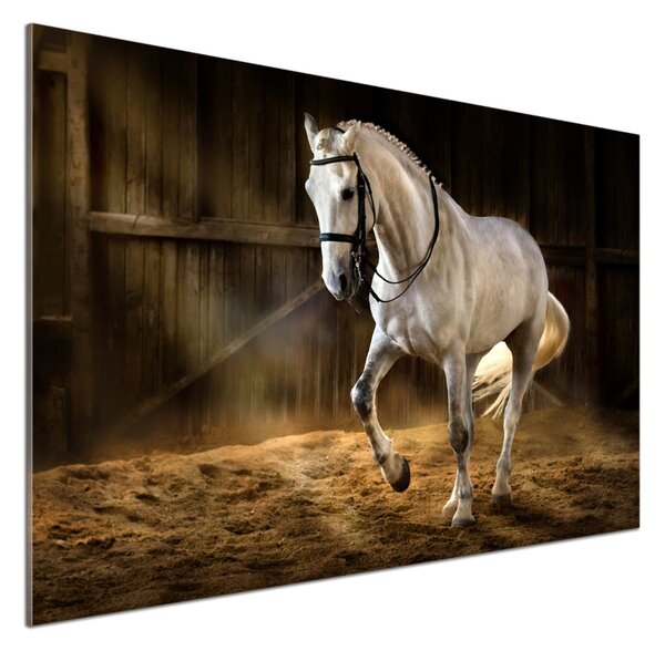 Panel do kuchyně Bílý kůň ve stáji pksh-113734003