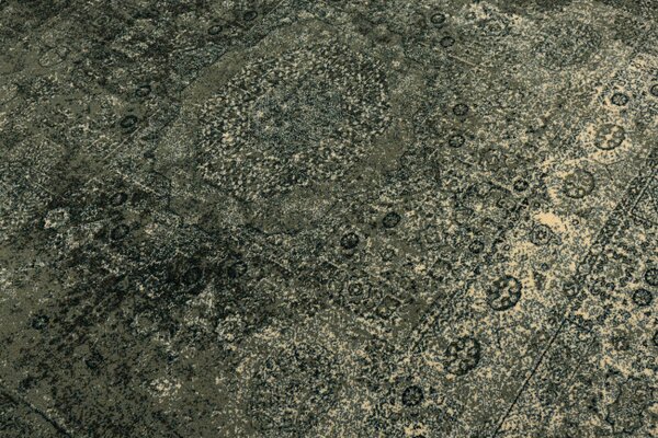 Koberec Dywilan Omega Mamluk Iron zelený
