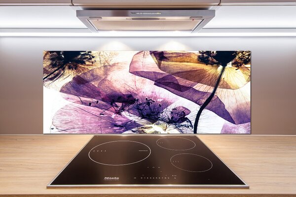 Dekorační panel sklo Suché máky pksh-113859172