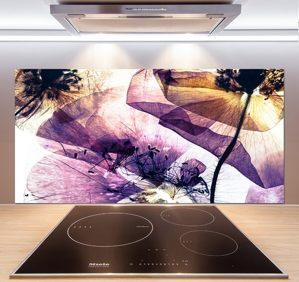 Dekorační panel sklo Suché máky pksh-113859172