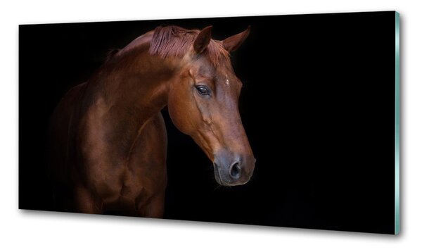 Dekorační panel sklo Hnědý kůň pksh-114030424