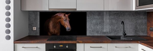 Dekorační panel sklo Hnědý kůň pksh-114030424