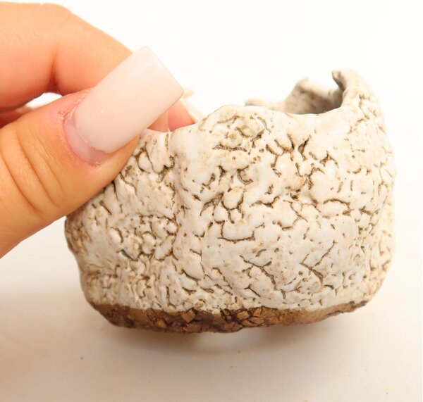 E-bonsai Keramická Skořápka 7 x 7 x 6 cm bílá