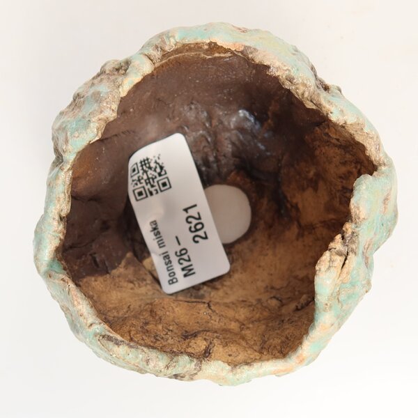 E-bonsai Keramická Skořápka 7 x 7 x 7 cm zelená