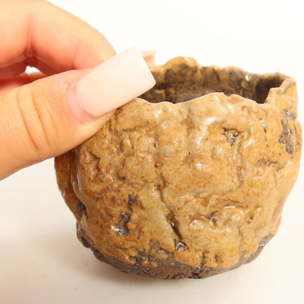 E-bonsai Keramická Skořápka 7 x 6,5 x 6,5 cm hnědá