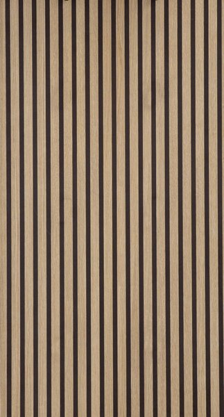Schildmeyer Hank Spiegel 157132, akustický panel, optický, rozměry 79,5 x 3 x 109 cm
